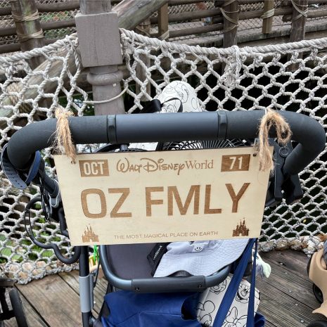 WDW-license-plate-jc WDW-license-plate-jc
