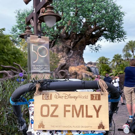 WDW-license-plate-tol WDW-license-plate-tol