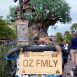 WDW-license-plate-tol