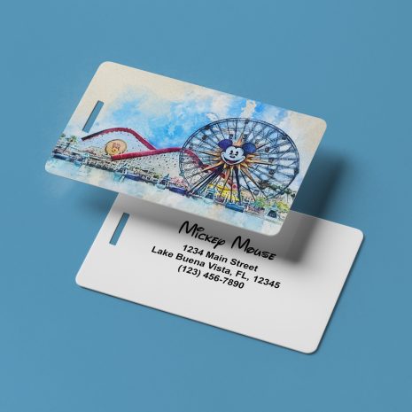 california-adventure-luggage-tag