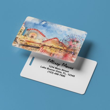 california-adventure-night-luggage-tag