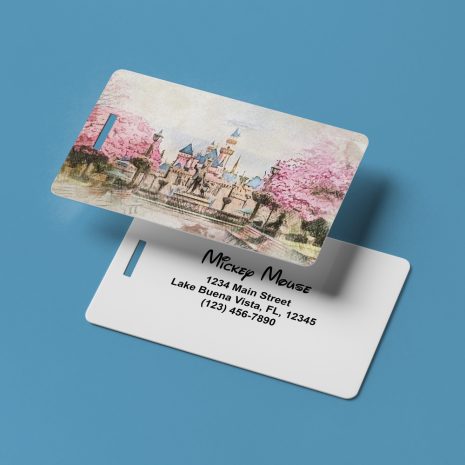 disneyland-luggage-tag