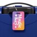 disneyland-magic-key-luggage-tag-on-suitcase