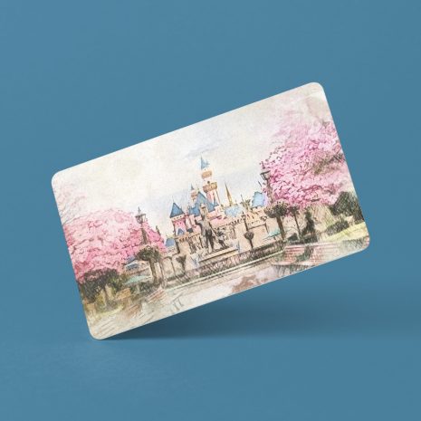 disneyland-magnet