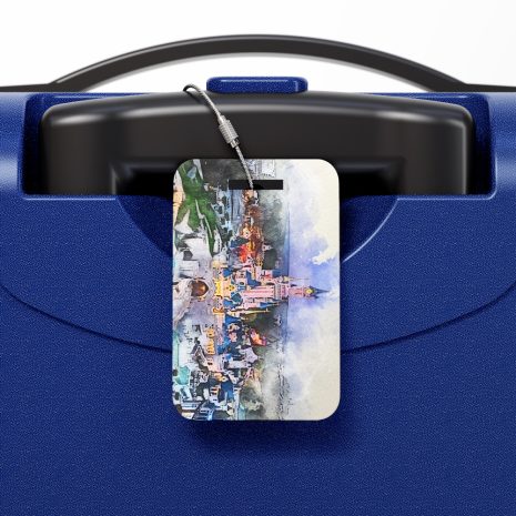 disneyland-paris-night-luggage-tag-on-suitcase