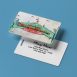 hong-kong-disneyland-luggage-tag
