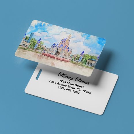 magic-kingdom-luggage-tag