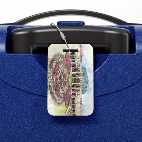 tokyo-disneyland-luggage-tag-on-suitcase